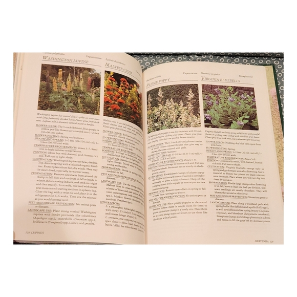 Rodale's Successful Organic Gardening: Perennials - Picture 10 of 10